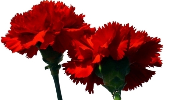 25 abril 1 1024 2500