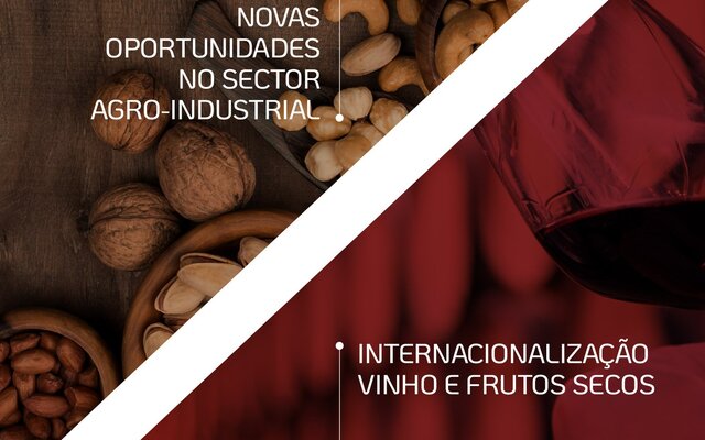 467608461_869580175384538_6389947848149121318_n