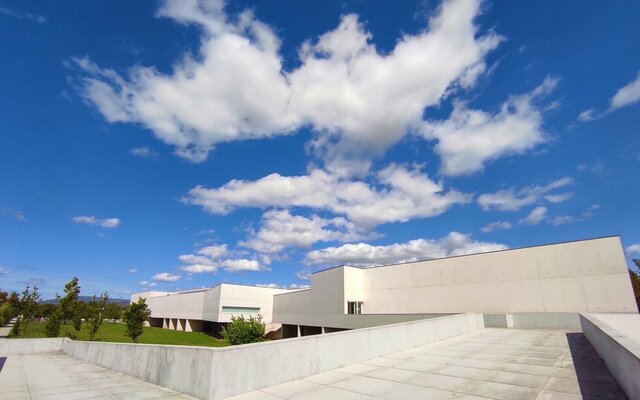 190407145_1785460121657384_8163467849823967785_n_1_980_2500