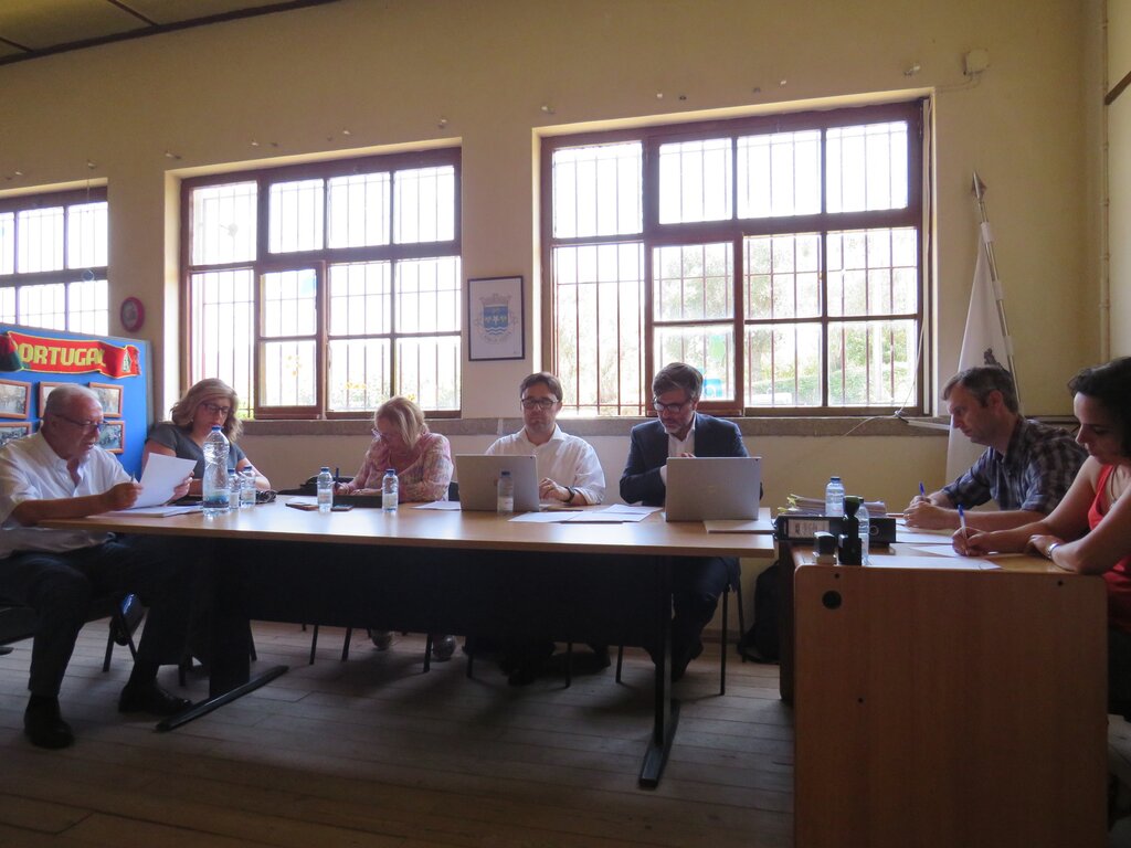 Img 3900 1 1024 2500