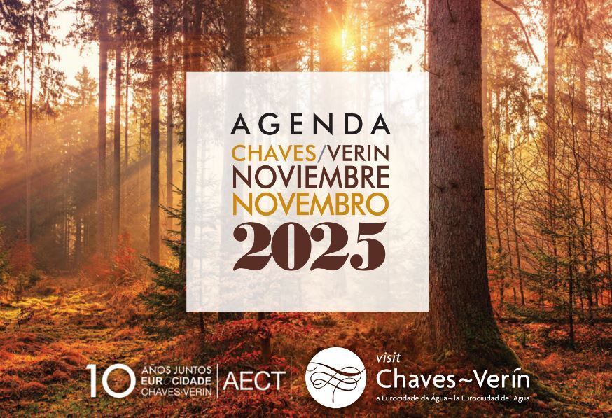 agenda novembro 2025