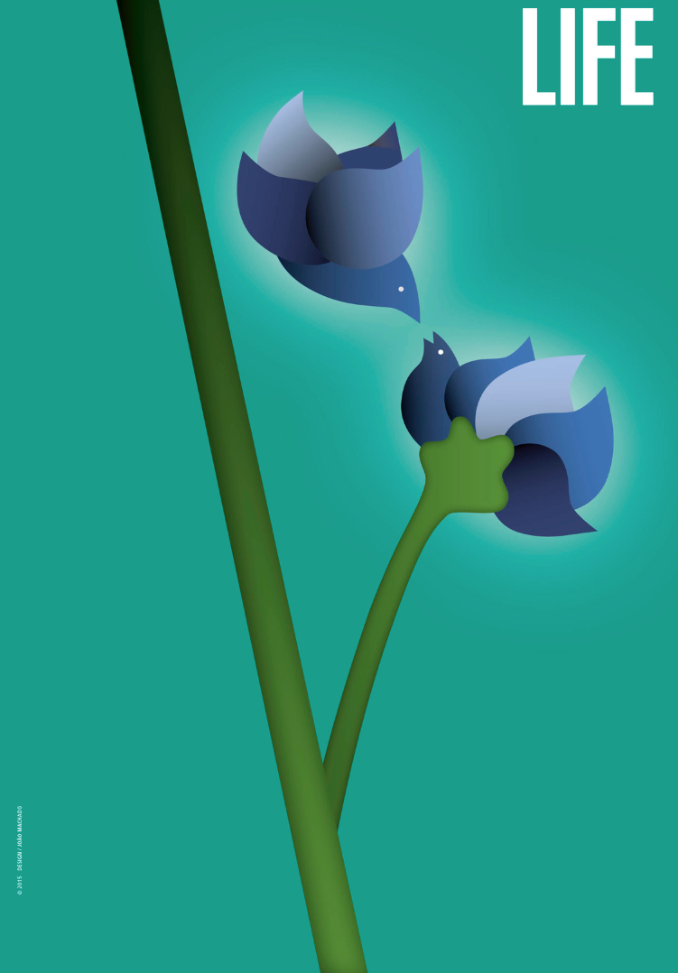 Screen Shot 2017-07-09 at 11.03.46